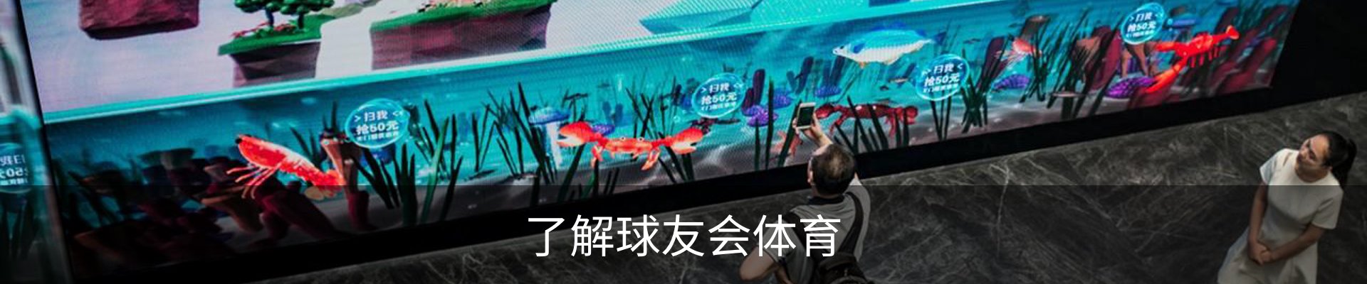 了解球友会体育