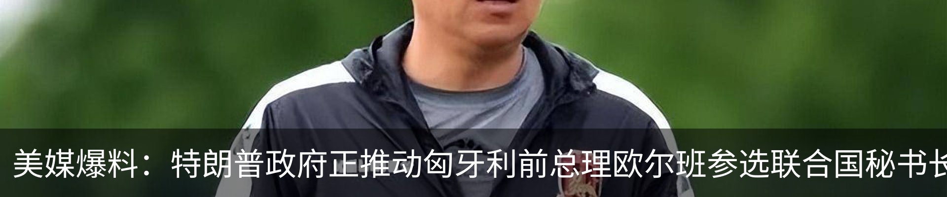 新闻动态